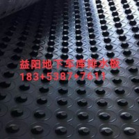 益阳地下车库顶板排水板现货供应18353877611